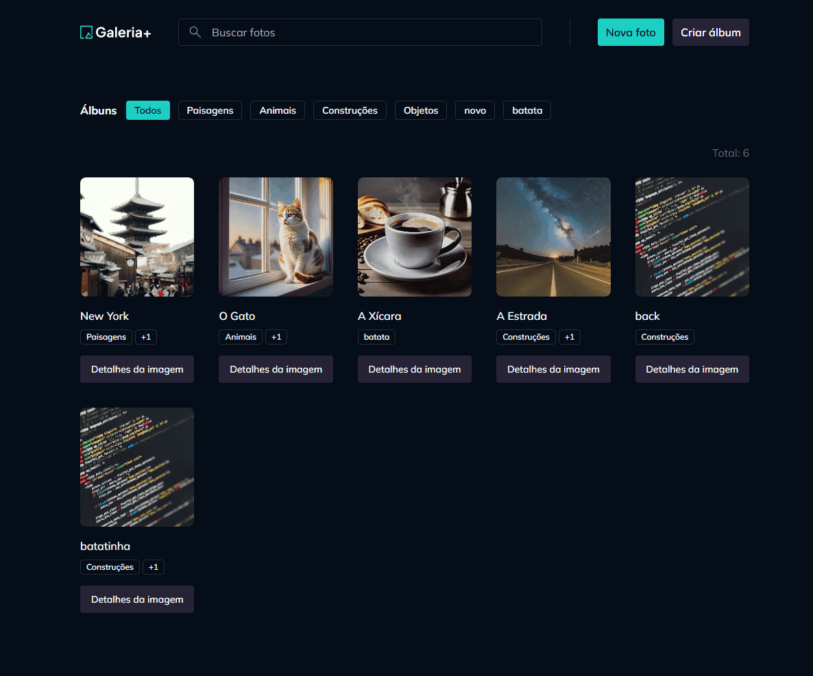 Galeria Visual Interativa com Filtros e Detalhes